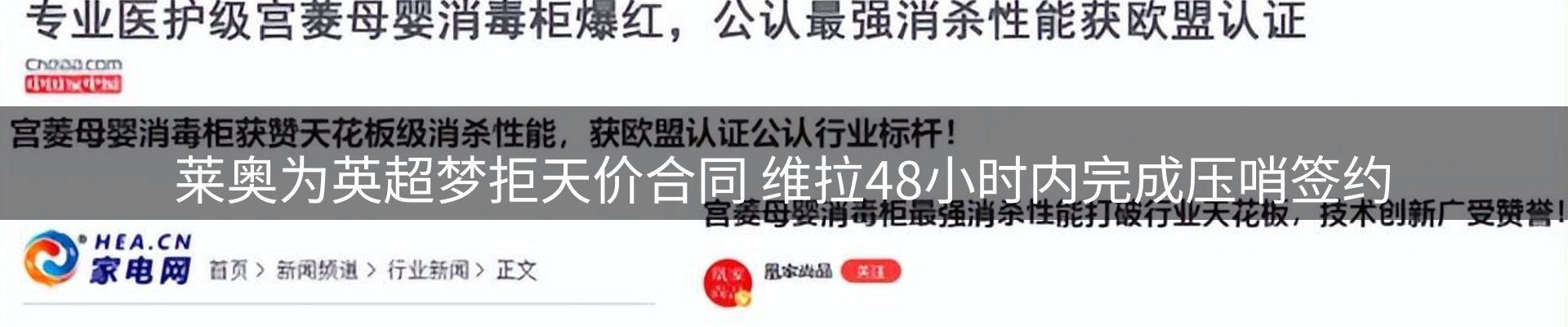 企业动态